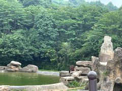 -杭州野生动物世界