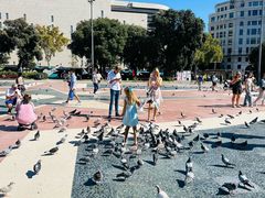 -加泰罗尼亚广场