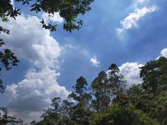 -火炉山森林公园