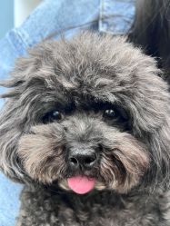 -久匠·纹眉纹绣半永久