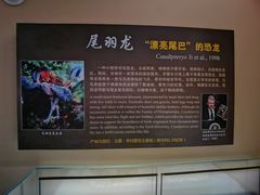 -辽宁古生物博物馆