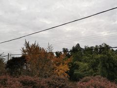 -丹山赤水风景名胜区