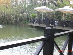 CIMG7088-茅庐·川粤精品私房菜(金沙遗址店)