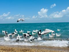 -青海湖国家重点风景名胜区