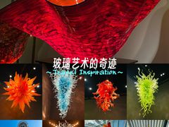 -奇胡利玻璃艺术园