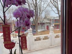 -满堂·烤鸭店·北京菜(鼓楼店)