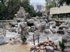 -广州动物园