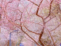 -安定门(地铁站)