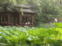 -莲湖公园