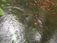 -水磨沟公园