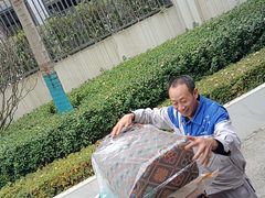 -蚂蚁搬家成都打包搬运公司