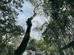 -秋霞圃