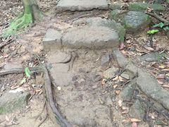 -火炉山森林公园