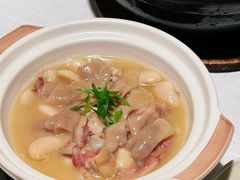 鲜沙姜芸豆煲脱骨猪手-莉莉海堂HAITANG·烤鸭(国贸商城店)