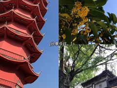 景点-惠山古镇·寄畅园