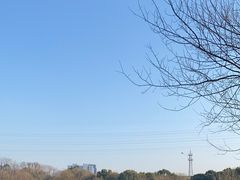 -八卦田遗址公园