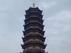 -葛仙湖公园