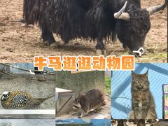 -青藏高原野生动物园