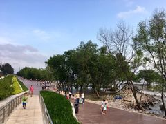 -宝安西湾红树林湿地公园