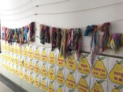 -青岛长阳路小学