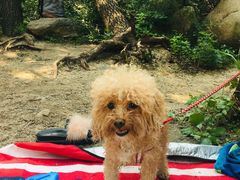 -碓臼峪自然风景区