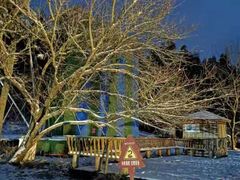 -武陵山森林公园