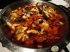-新沸腾鱼乡(世贸天阶店)