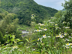 -秋浦河景区