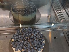 -Wagas沃歌斯(汇智店)