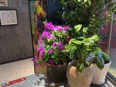 -新安人家·22年本地餐厅