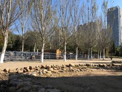 -长白岛森林公园