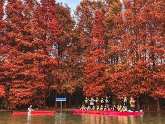 -上海海湾国家森林公园