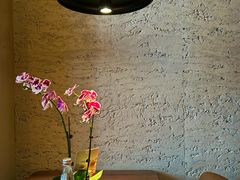 -OGGI TRATTORIA PIZZERIA(深业上城店)