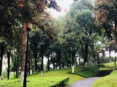 -重庆市江北嘴中央商务区中央公园