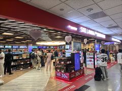 -班达拉奈克国际机场