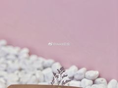 芝芝芒芒梳芙厘-狐狸和向日葵(北京路店)