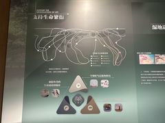 -中国湿地博物馆