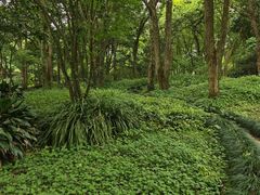 -杭州植物园