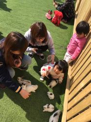 -萌宠亲子动物乐园(槐房万达店)