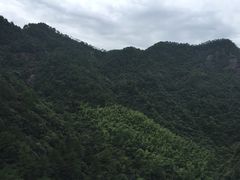 景点-百杖潭景区