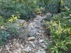 -北京西山国家森林公园