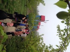 洛阳郁金香牡丹园-洛阳郁金香牡丹园