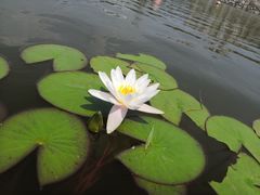 -丹世红酒庄·烧烤·团建·婚礼·水上运动