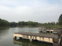 -尚贤河湿地