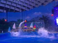 -海合安武汉极地海洋公园