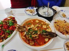 -煲来饱去冷水鱼