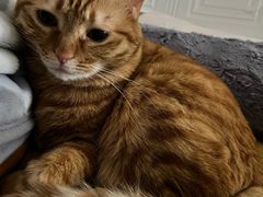 -新荟城(望京店)