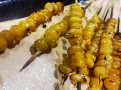 -鑫正兴东北烧烤(滨湖店)