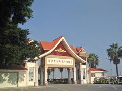 -大湾区中央湿地公园-十九涌
