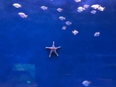 -沈阳海洋探索中心